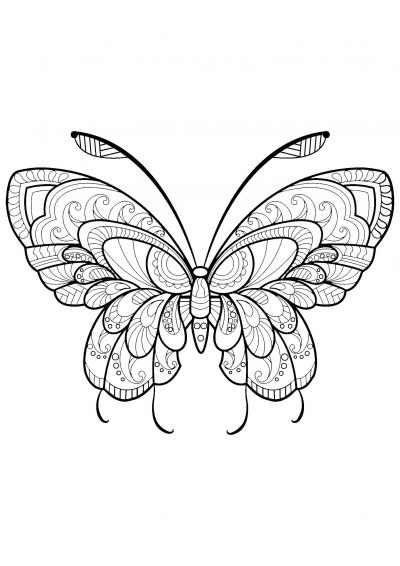 princely butterfly coloring page