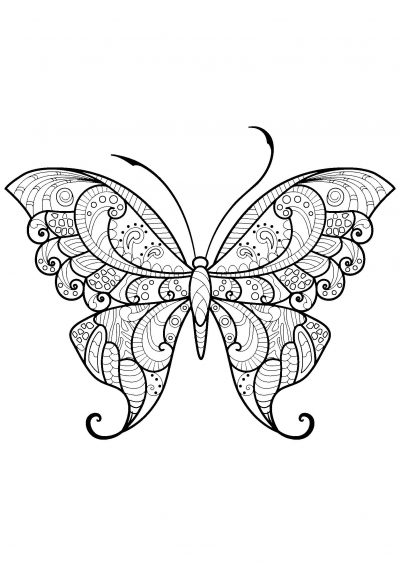 glorious butterfly coloring page