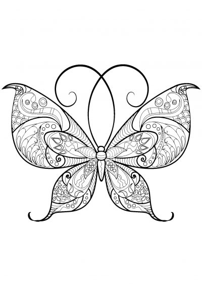 Lovely butterfly coloring page