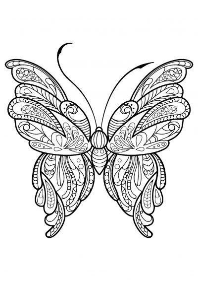 summer butterfly coloring page