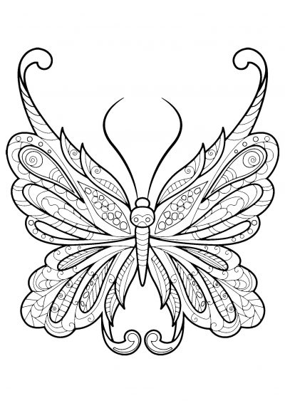 Graceful butterfly coloring page