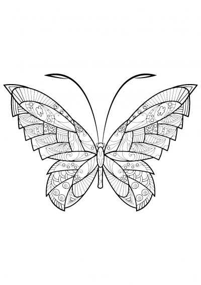 Attractive butterfly coloring page