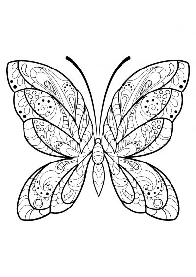 majestic butterfly coloring page