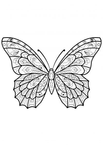 Beautiful butterfly coloring page