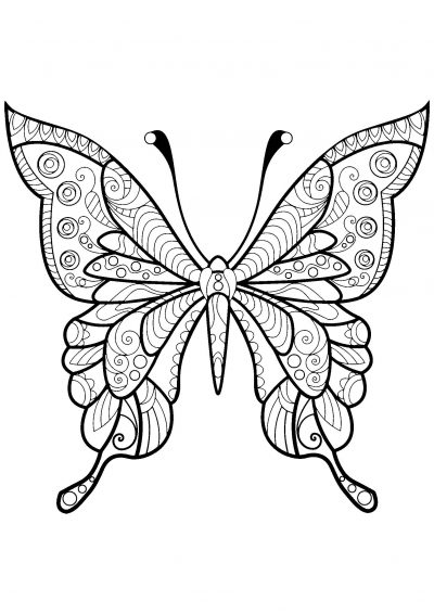 Butterfly with beautiful patterns coloring page