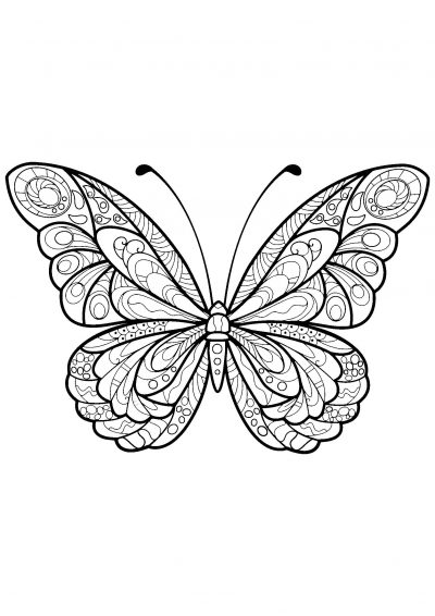 versatile butterfly coloring page