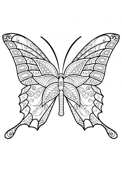 spring butterfly coloring page