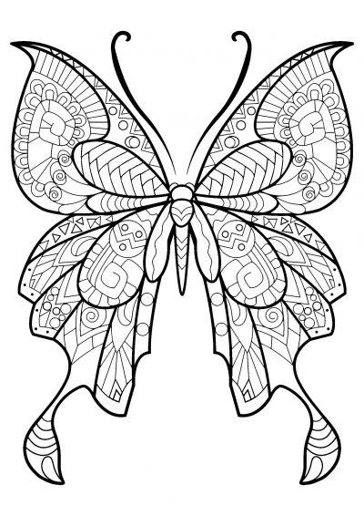 terrific butterfly coloring page