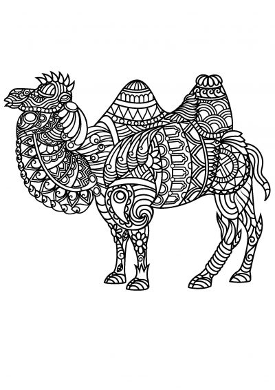 majestic camel coloring page