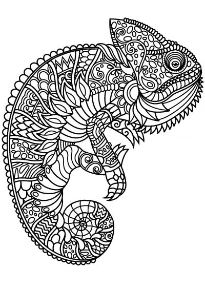 chameleon coloring page