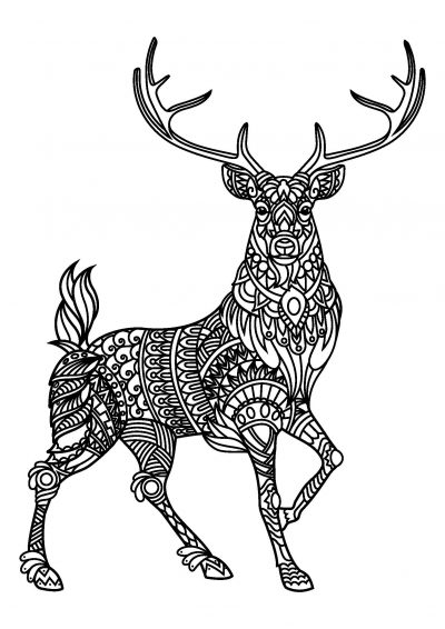 fabulous deer coloring page