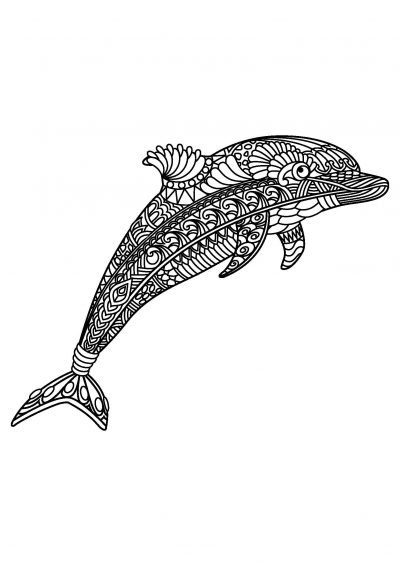 brilliant dolphin coloring page