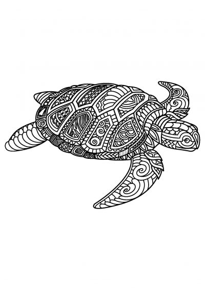 sea ​​turtle coloring page